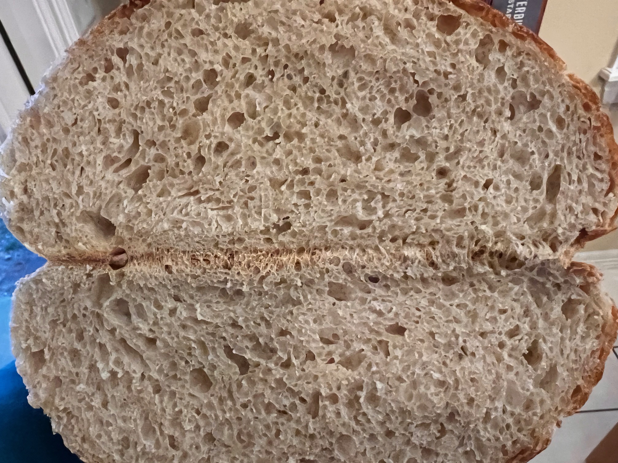 Three (3) Minutes Hands On Sourdough