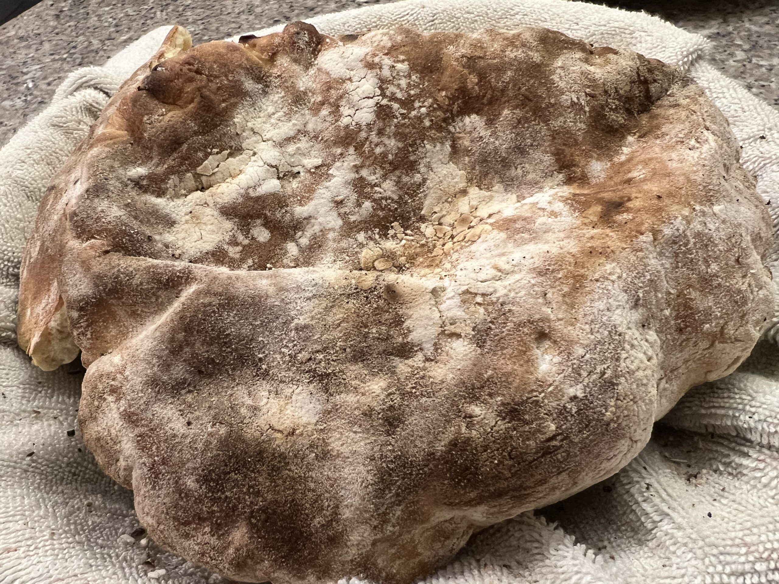 Naan or Pita