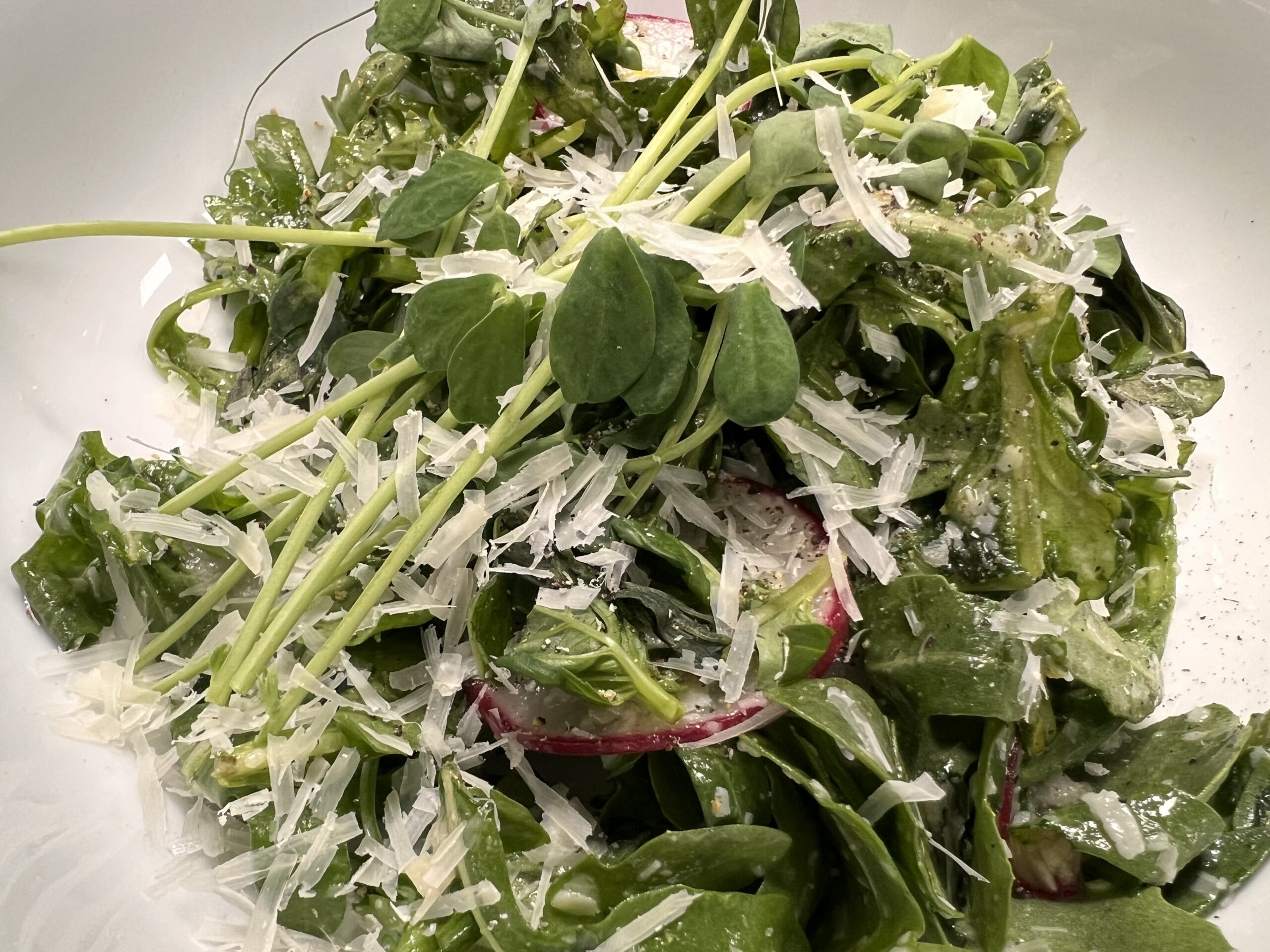 Rocket Salad/Sensation Salad